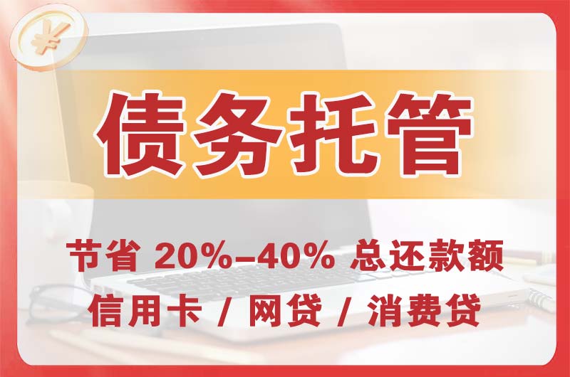 鸠江债务托管